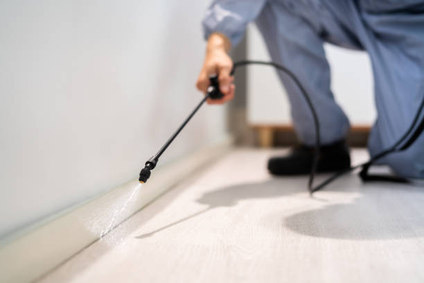 Licensed Rodent Control service in Eureka County County, NV - Nex Pest Control